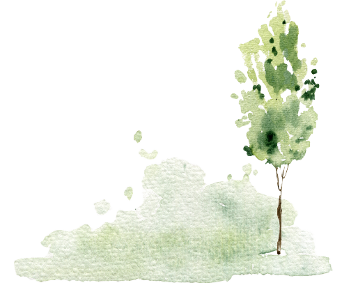 small tree grass-right