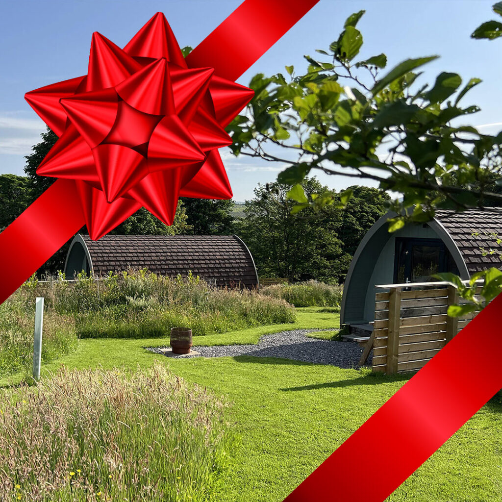 Pods in the Sticks - Glamping near the Lake District - Gift Vouchers
